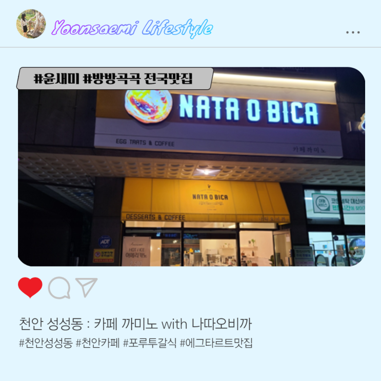 천안 성성동 : 카페 까미노 with 나따오비까(에그타르트 맛집)