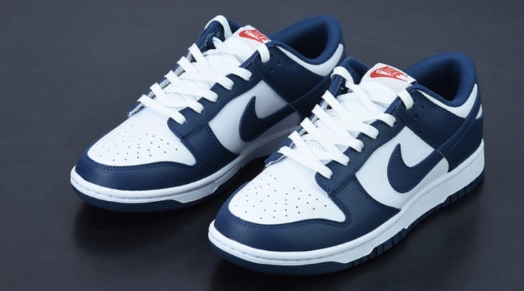  22SS 나이키 덩크 로우 발레리안 블루 Nike Dunk Low Valerian Blue