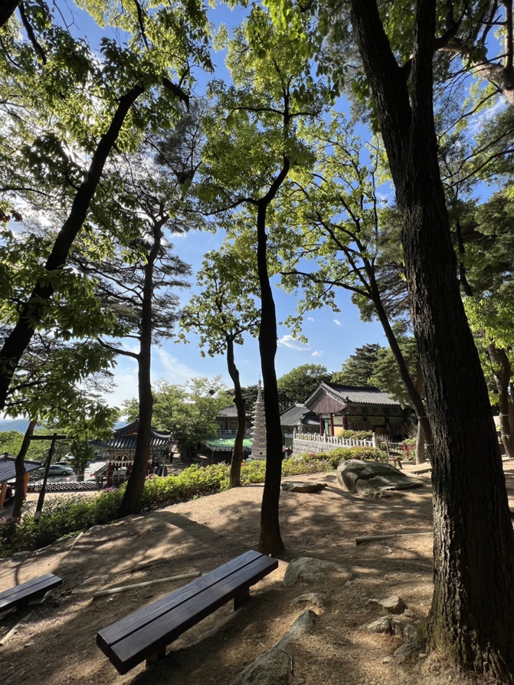  [아이와 갈만한 곳][서울나들이] 호압사. 올챙이를 볼 수 있어요