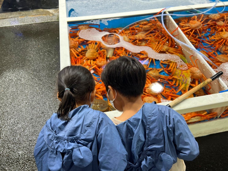  포항 죽도시장 연다라횟집 먹거리많은 포항대게맛집 아이랑 갈만한곳