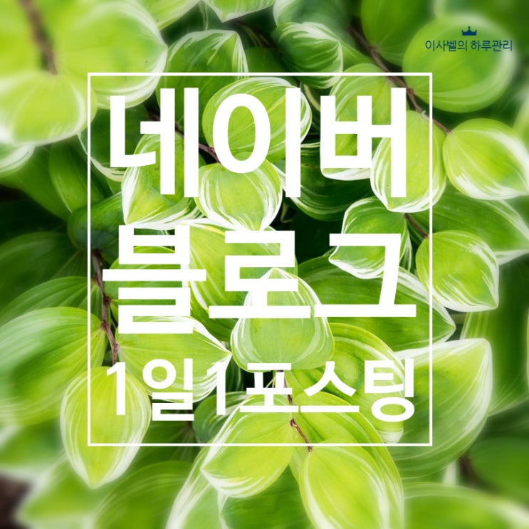 네이버 블로그1일 1포스팅 네이버 블로그1일 1포스팅