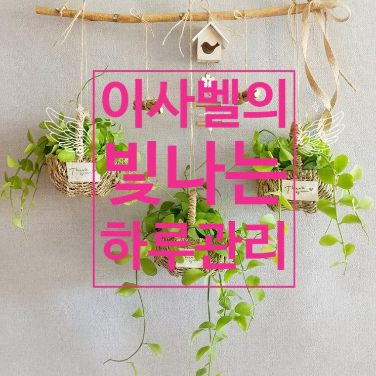 이사벨의 빛나는 오늘 이사벨의 빛나는 오늘
