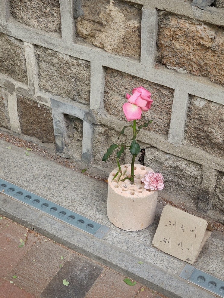  5월 첫째주 일상행복한 오월의 시작