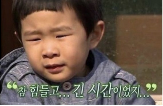  부동산 규제 완화 사항들(1주택자, 다주택자)