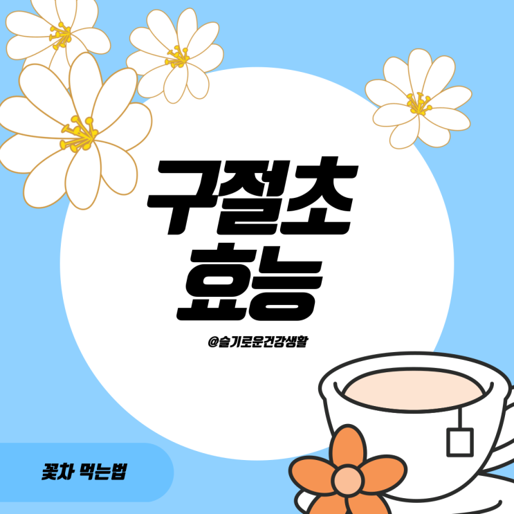  구절초효능 몇 가지 먹는 법