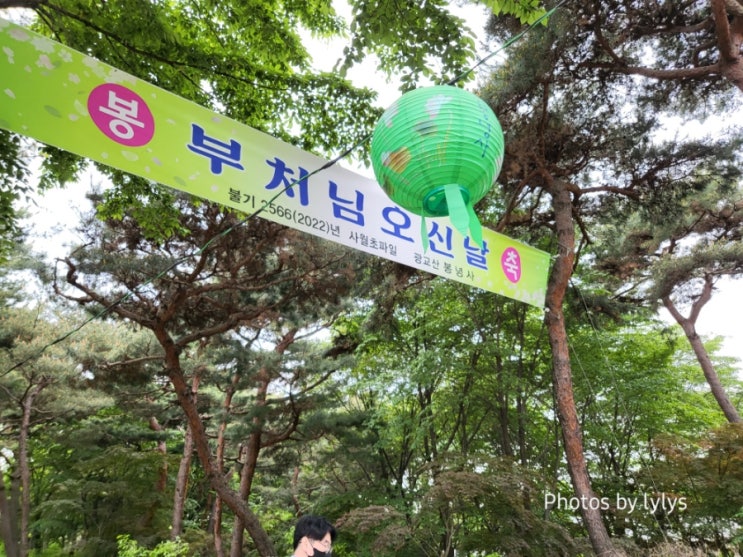 부처님 오신 날 다녀온 수원 절 봉녕사
