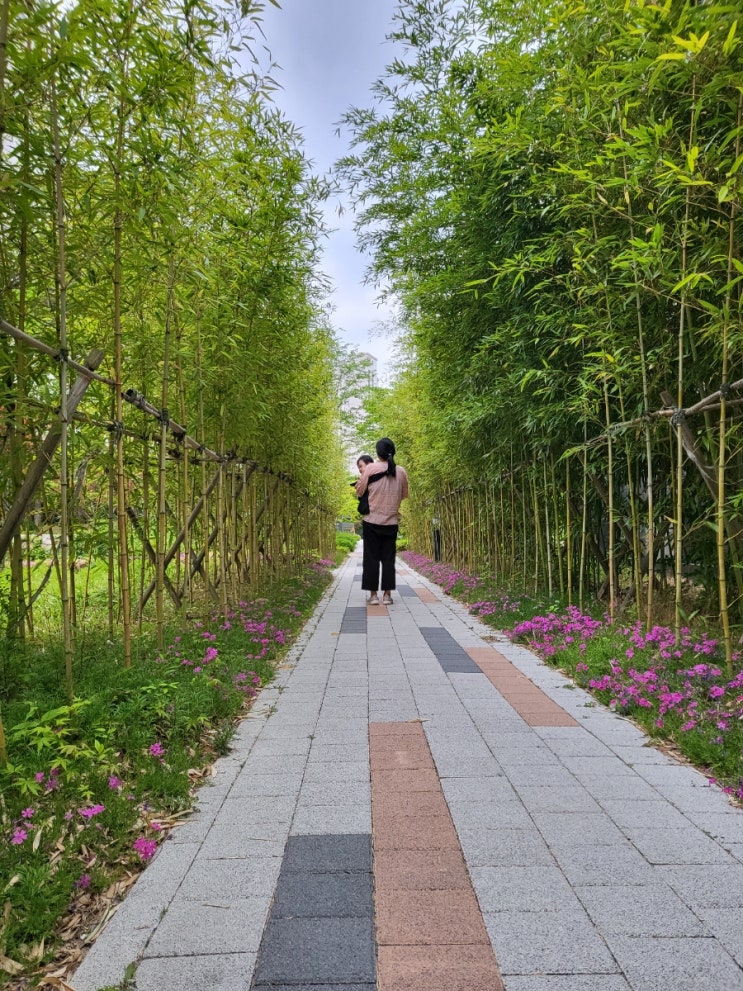  둥이와 소소한 일상