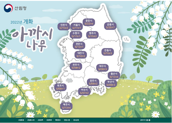 국립산림과학원, 아까시나무 개화 예측 지도 발표_산림청 국립산림과학원, 아까시나무 개화 예측 지도 발표_산림청