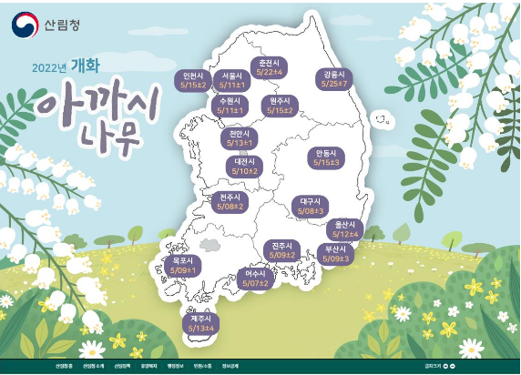 국립산림과학원, 아까시나무 개화 예측 지도 발표_산림청