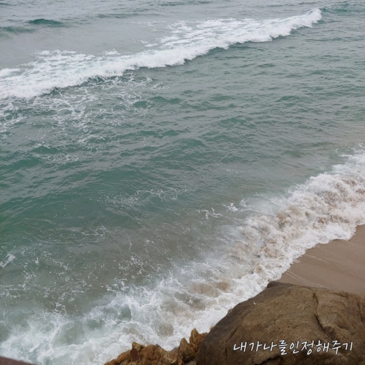  바다식목일