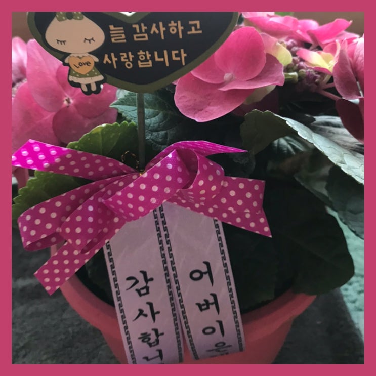 어버이날 시골에 다녀왔습니다.