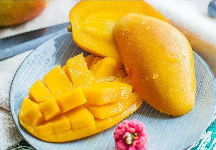  달콤한 열대과일 맛있는 태국 골드망고 후숙 맛있게 먹는방법