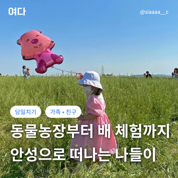  [안성여행] 동물과 교감하고 배 체험까지 즐기는 나들이