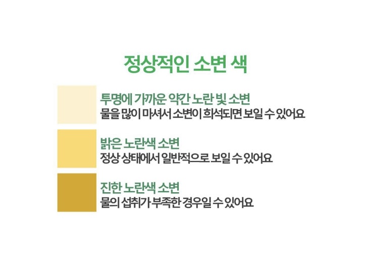  고양이 소변색으로 건강체크하기