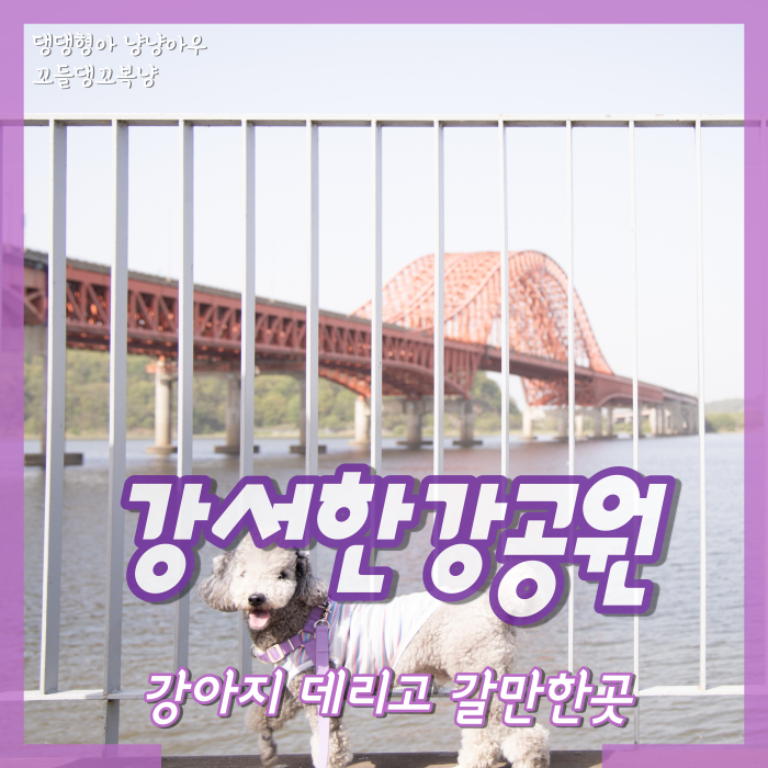  강아지 데리고 갈만한곳 강서한강공원 가족 피크닉장