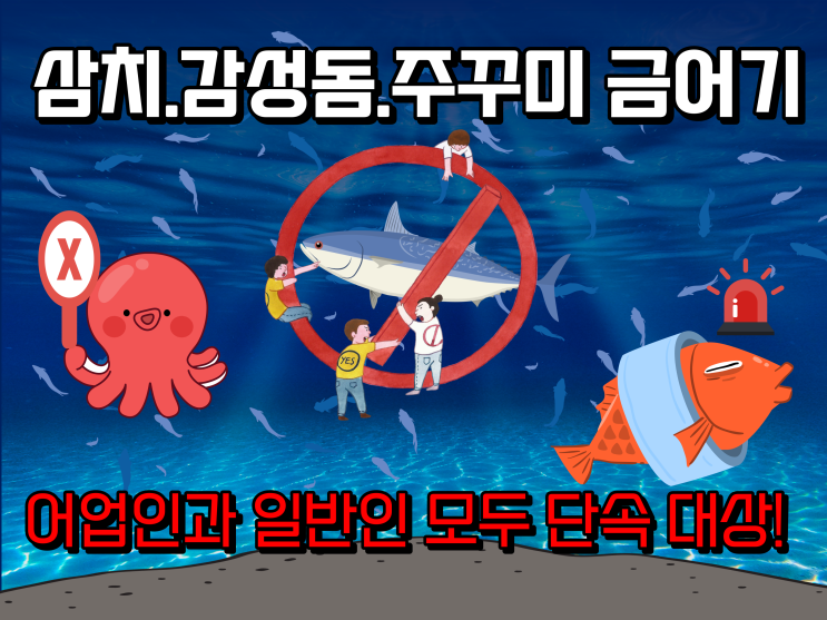  [바다낚시소식] 5월부터 시작되는 금어기 시작! 주꾸미,감성돔,삼치