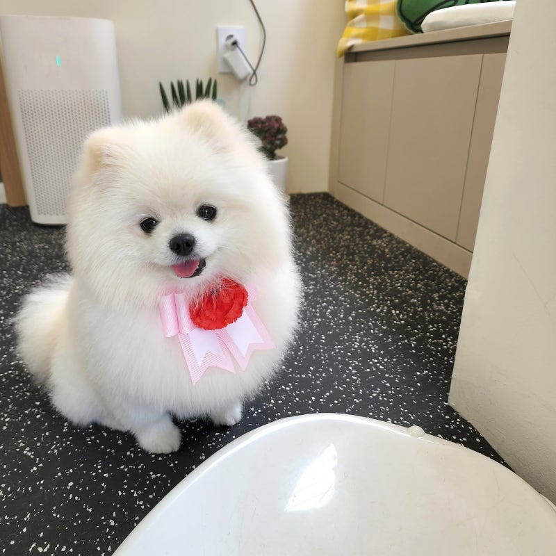 사진 4