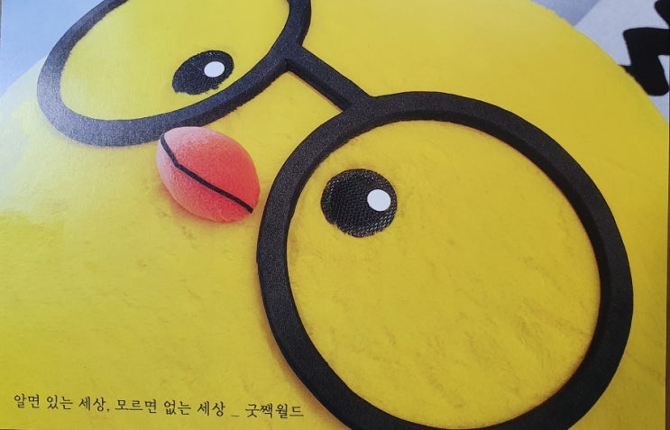  5월11일 수요일 감사일기