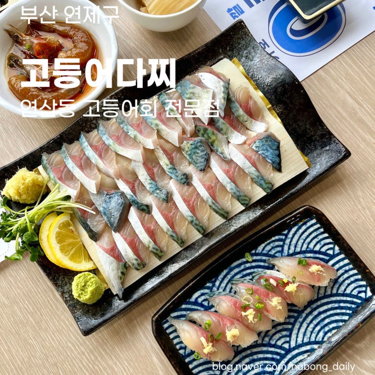  연산동 횟집 | 활고등어회 맛있는 연산역 맛집 | 고등어다찌