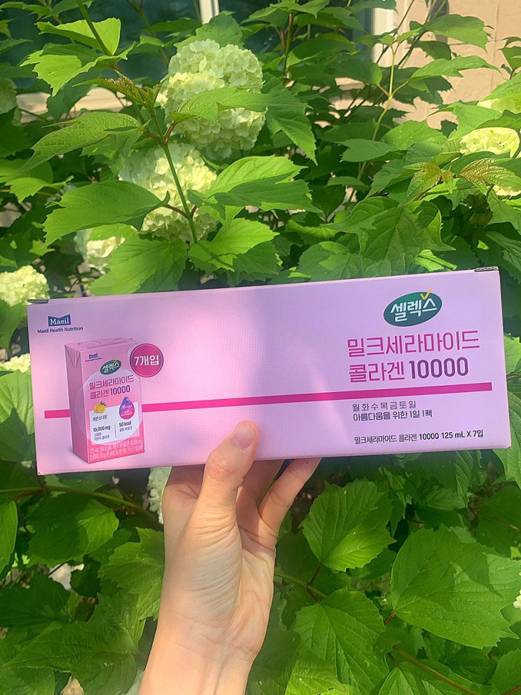 나의 새로운 이너뷰티템 셀렉스 밀크세라마이드콜라겐