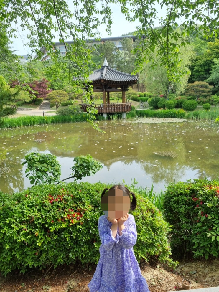  경주/체험/보문호수공원,보문정, 전동자동차와 자전거,황남 쫀드기(feat. 전동자동차 비추)(주차 tip)