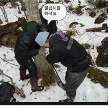  2008년도 지리산 고로쇠작업 모습