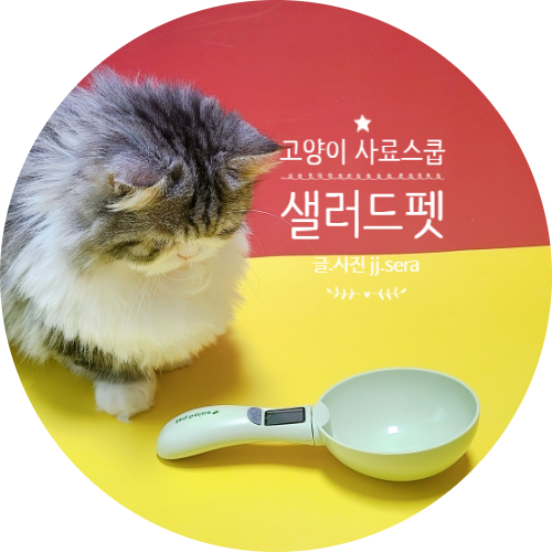 고양이비만관리 필수품인 샐러드펫 고양이사료양 조절 가능한 전자저울 닥터스쿱 정말 좋아요.