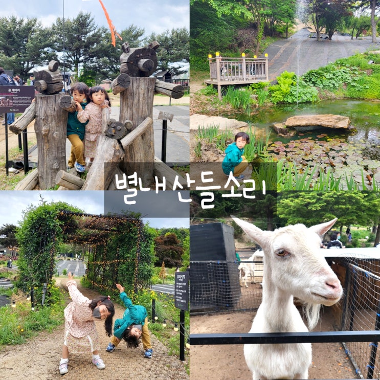 별내산들소리 : 남양주아이와가기좋은곳,염소먹이주기체험 별내산들소리 : 남양주아이와가기좋은곳,염소먹이주기체험