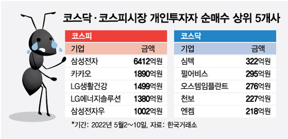 "이 폭락장에"…'강심장' 동학개미, 줍줍한 1~5위 주식들
