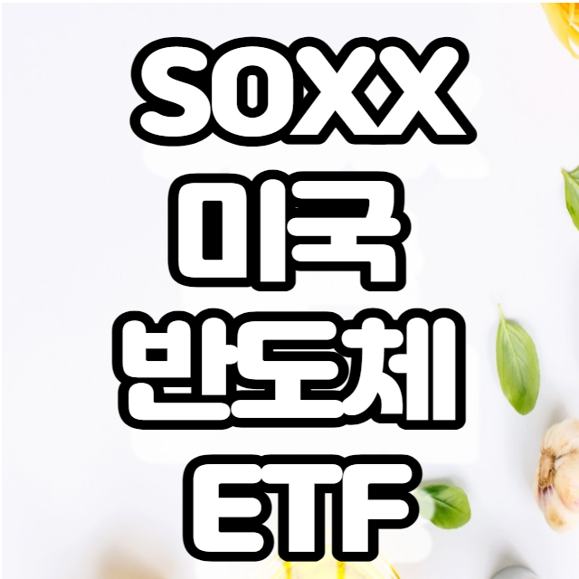 미국 SOXX ETF- 미국 반도체 관련 주 미국 SOXX ETF- 미국 반도체 관련 주