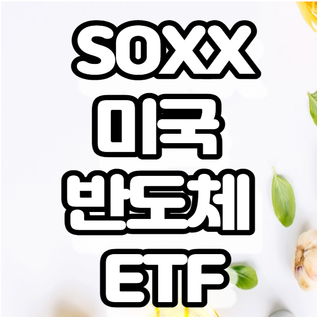 미국 SOXX ETF- 미국 반도체 관련 주