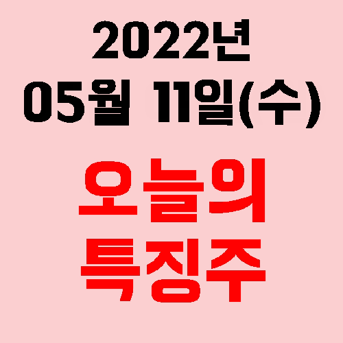  오늘의 특징주 2022년 05월 11일(수)