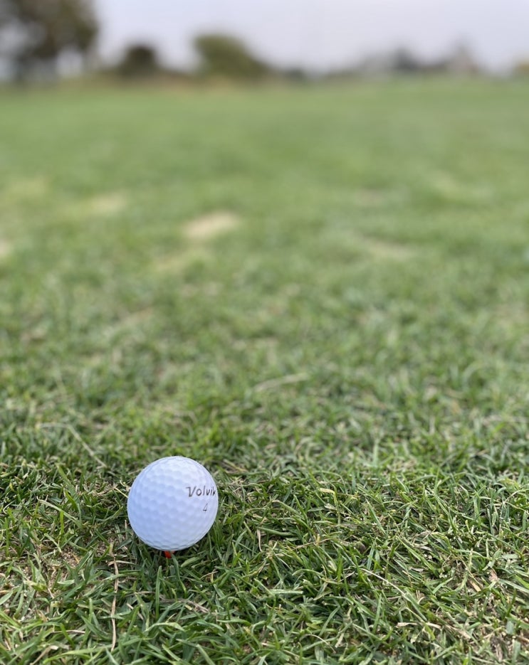  2022 KLPGA 대회일정 월별 총정리