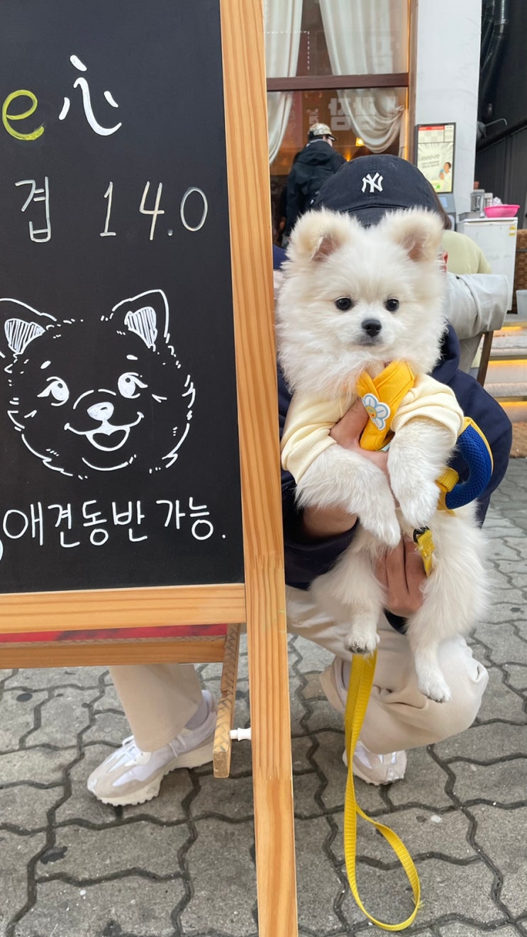  안산 본심, 강아지랑 야외에서 즐기는 맛있는 삼겹살 내돈내산 솔직후기