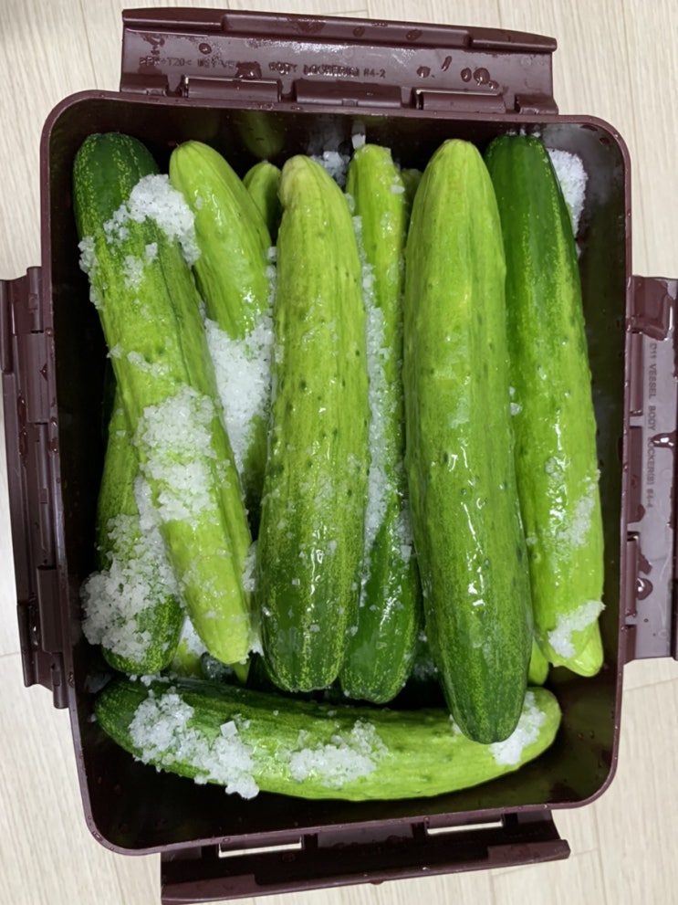  오이 반접 50개, 물 끓이지않고 오이짱아찌 만들기
