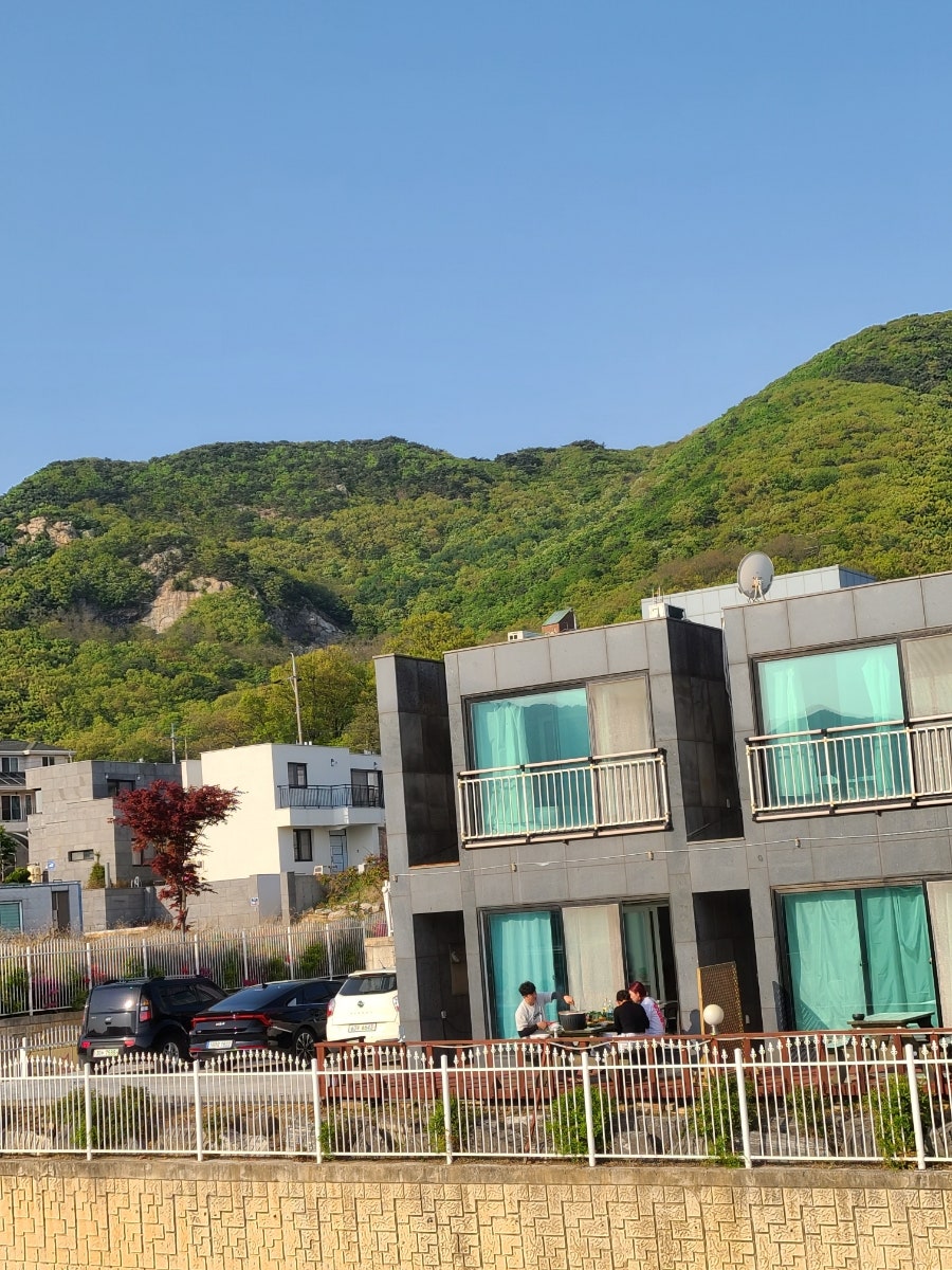 허밍웨이 사진 6