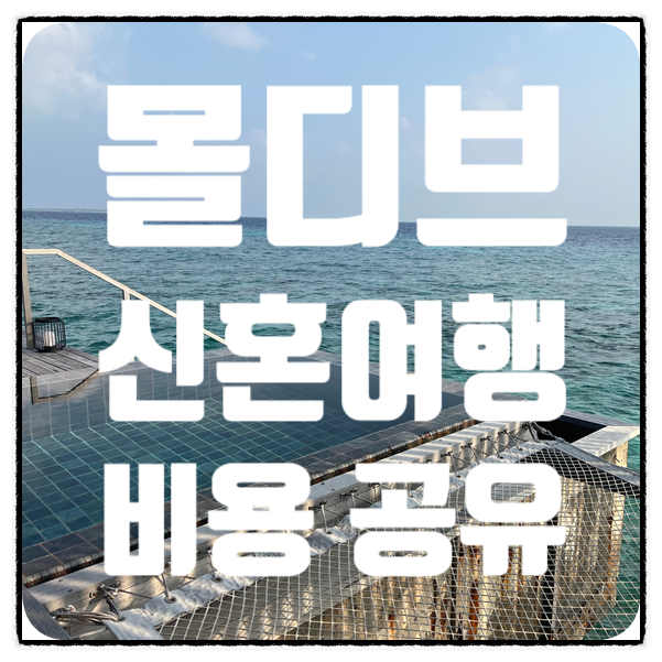  몰디브 신혼여행 비용 준비 과정 공유