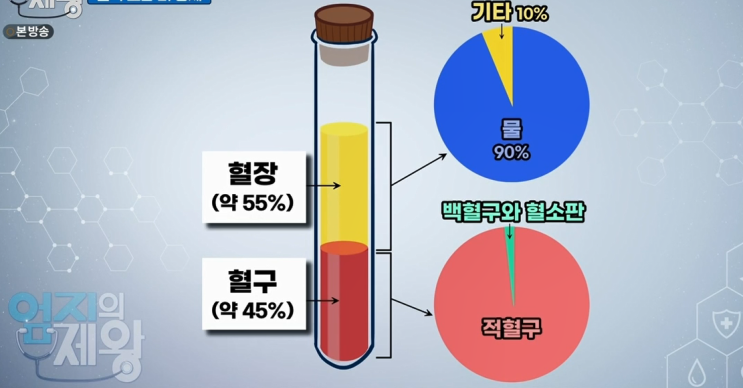  노란피 맑게하는 법