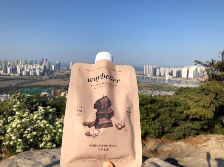  식물성 단백질 추천 플랜트 베이스드 프로틴 저당류 웨이베러 베러쉐이크