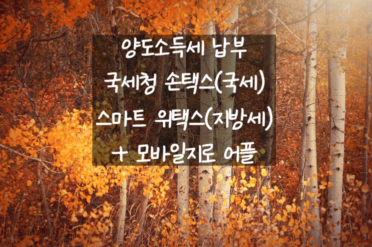 [일상] 양도소득세 납부(국세+지방세)(feat. 손택스, 모바일지로, 스마트위택스 어플)