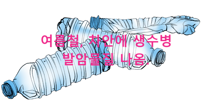  생수추천 ? 여름철 뜨거운 차 안, 생수병 플라스틱에서 검출되는 발암물질 조심하셔요 ^^