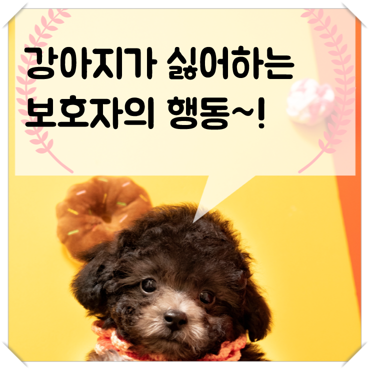  강아지가 싫어하는 보호자의 행동