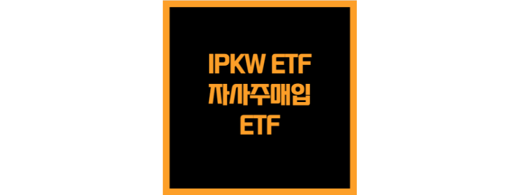  전 세계 자사주 매입하는 기업에 투자하는 IPKW ETF(고배당)