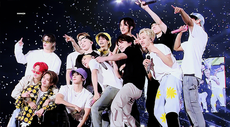 SEVENTEEN Profile (Birth Flower + Body Measurements + Hometown + Sibling Relationships + MBTI, etc.)