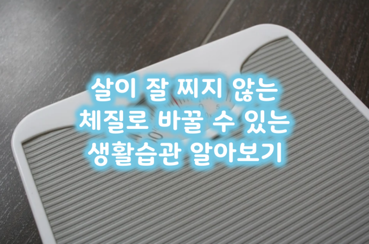  살이 잘 찌지 않는 체질로 바꿀 수 있는 생활습관 알아보기
