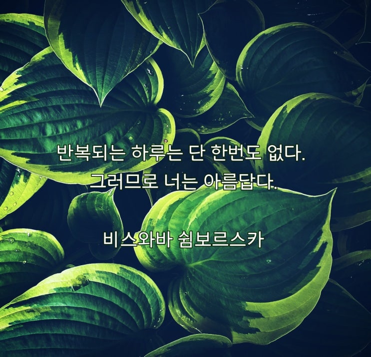  스물두번째, 만남이야기
