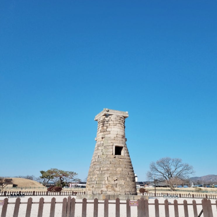  뚜벅이 겨울 경주 여행