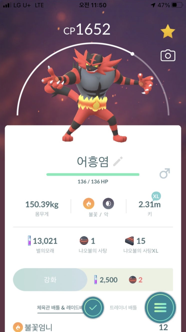  어흥염