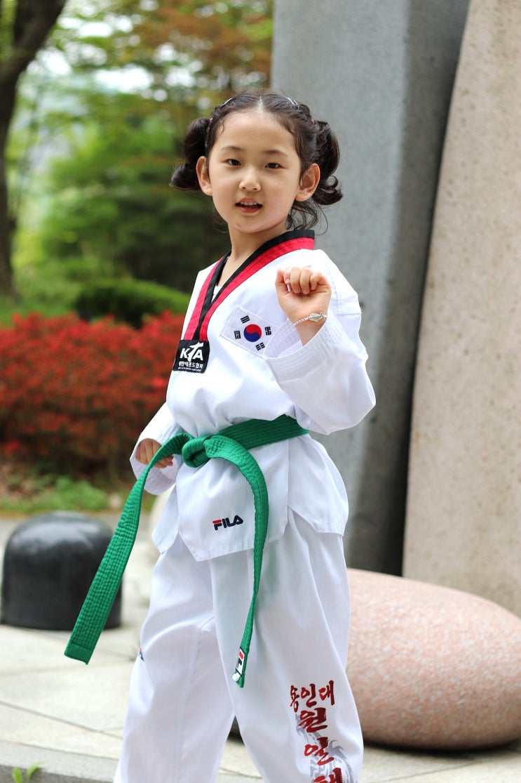  유아 태권도학원 6개월 후기, 띠 순서 및 학원비 정보