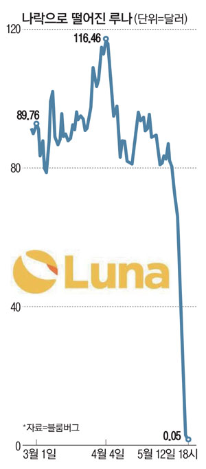 "루나, 테라 충격은 코인 시장의 리먼사태"…가상화폐 시장 쑥대밭